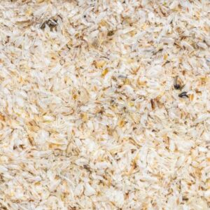 Psyllium