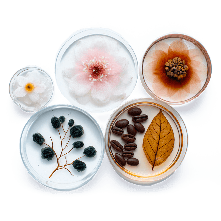 ingredients-Easypara